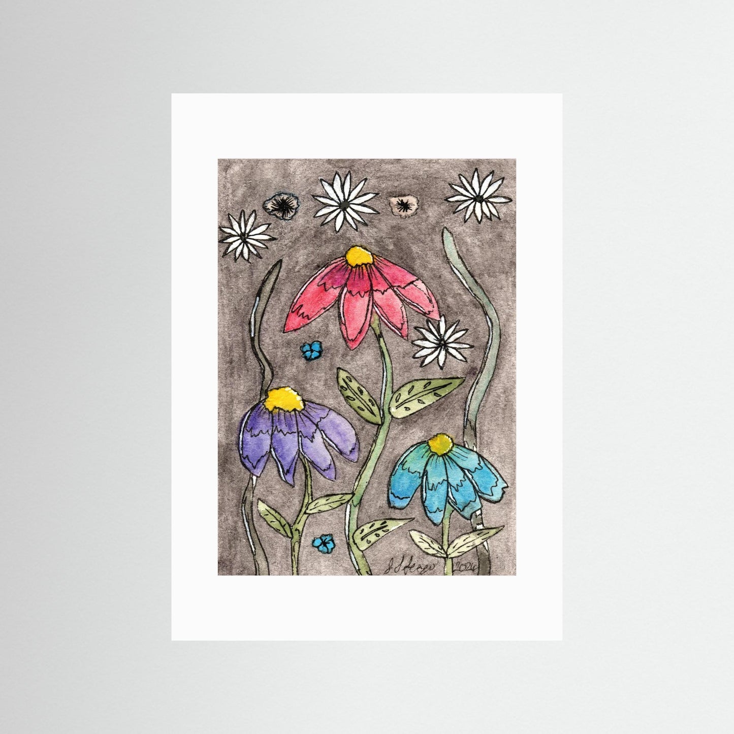 Echinacea