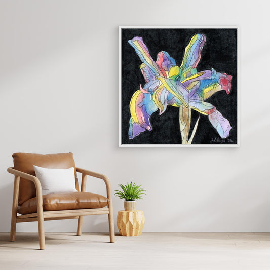 Iris - Framed Canvas Print