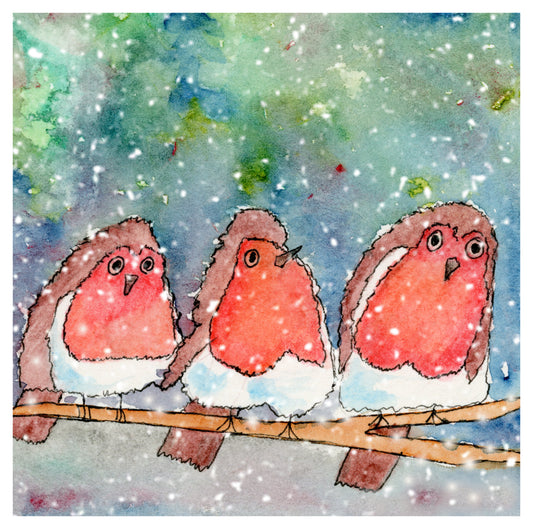 Set of 4 Robin Christmas Cards - Blank Inside