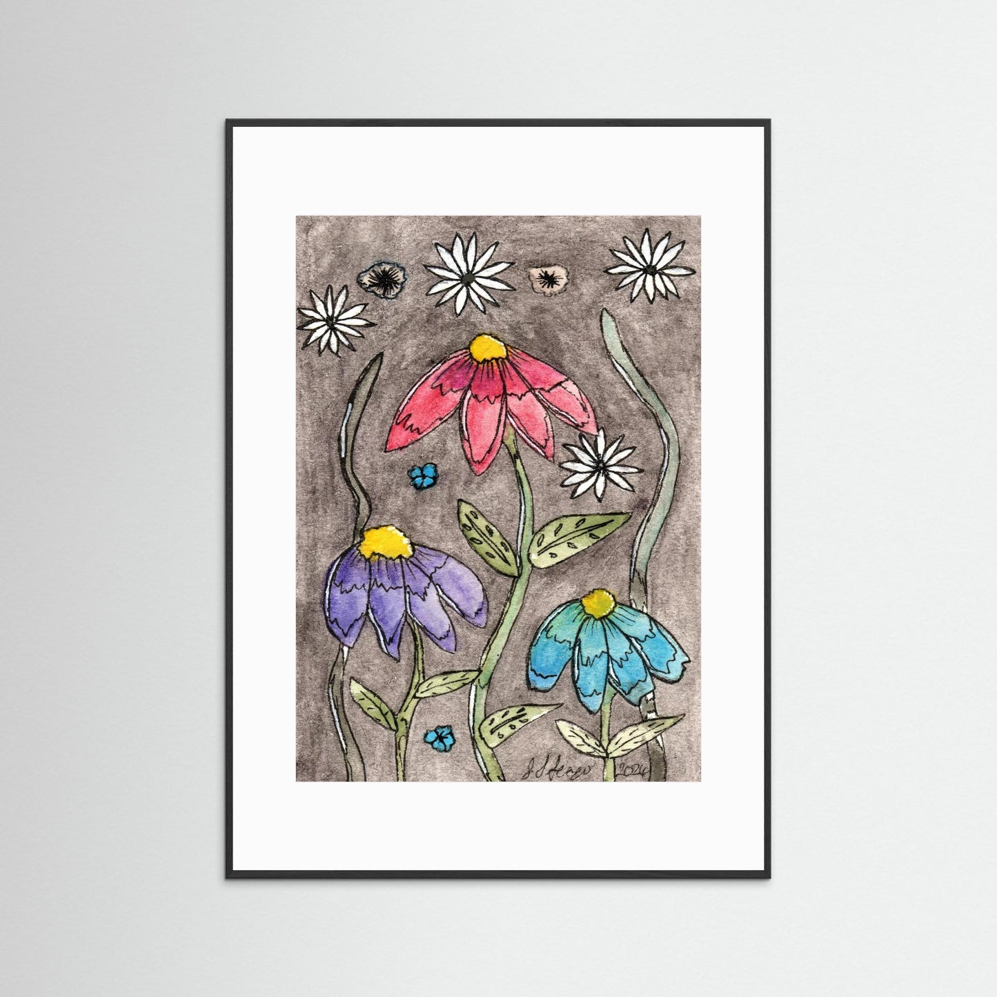 Echinacea