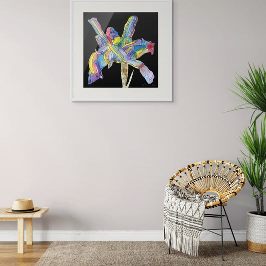 Iris - Fine Art Print