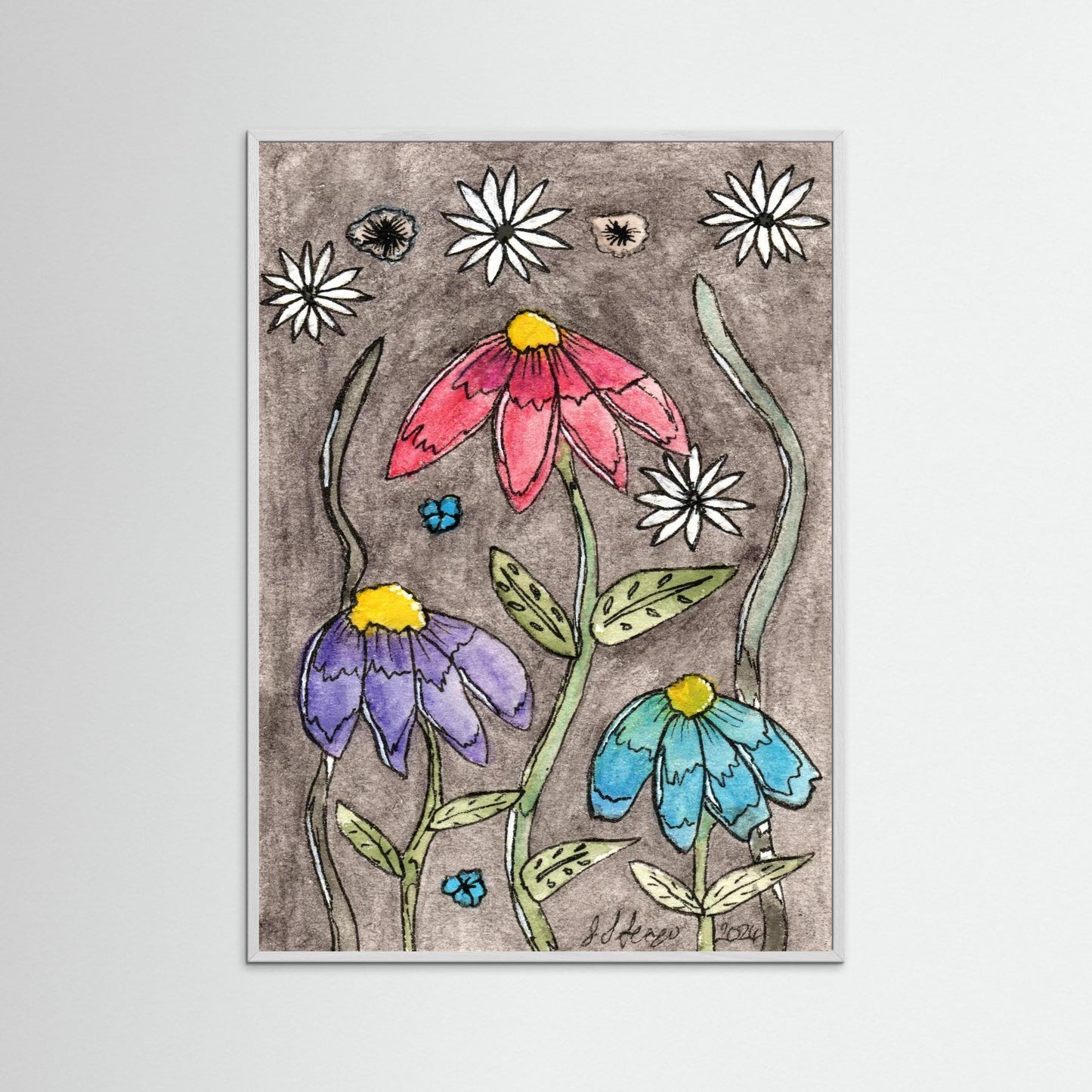 Echinacea