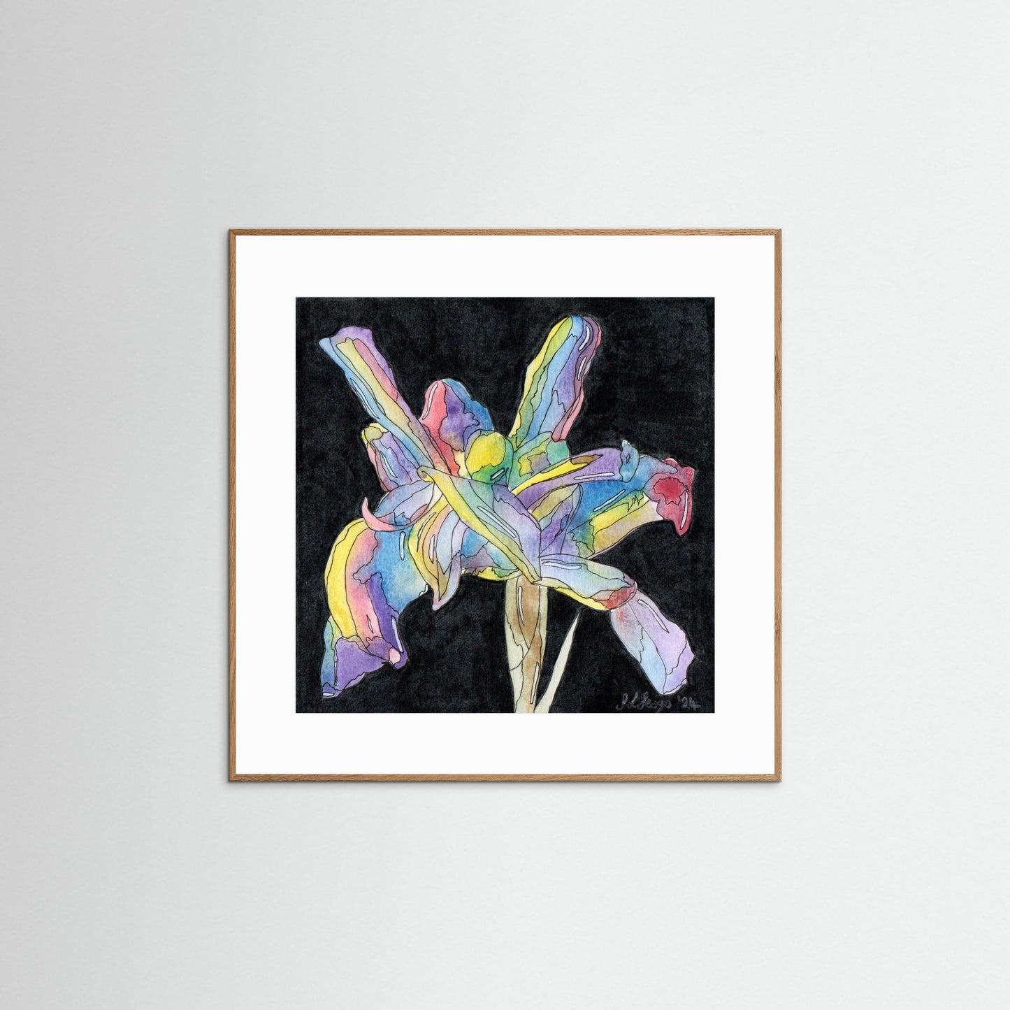Iris