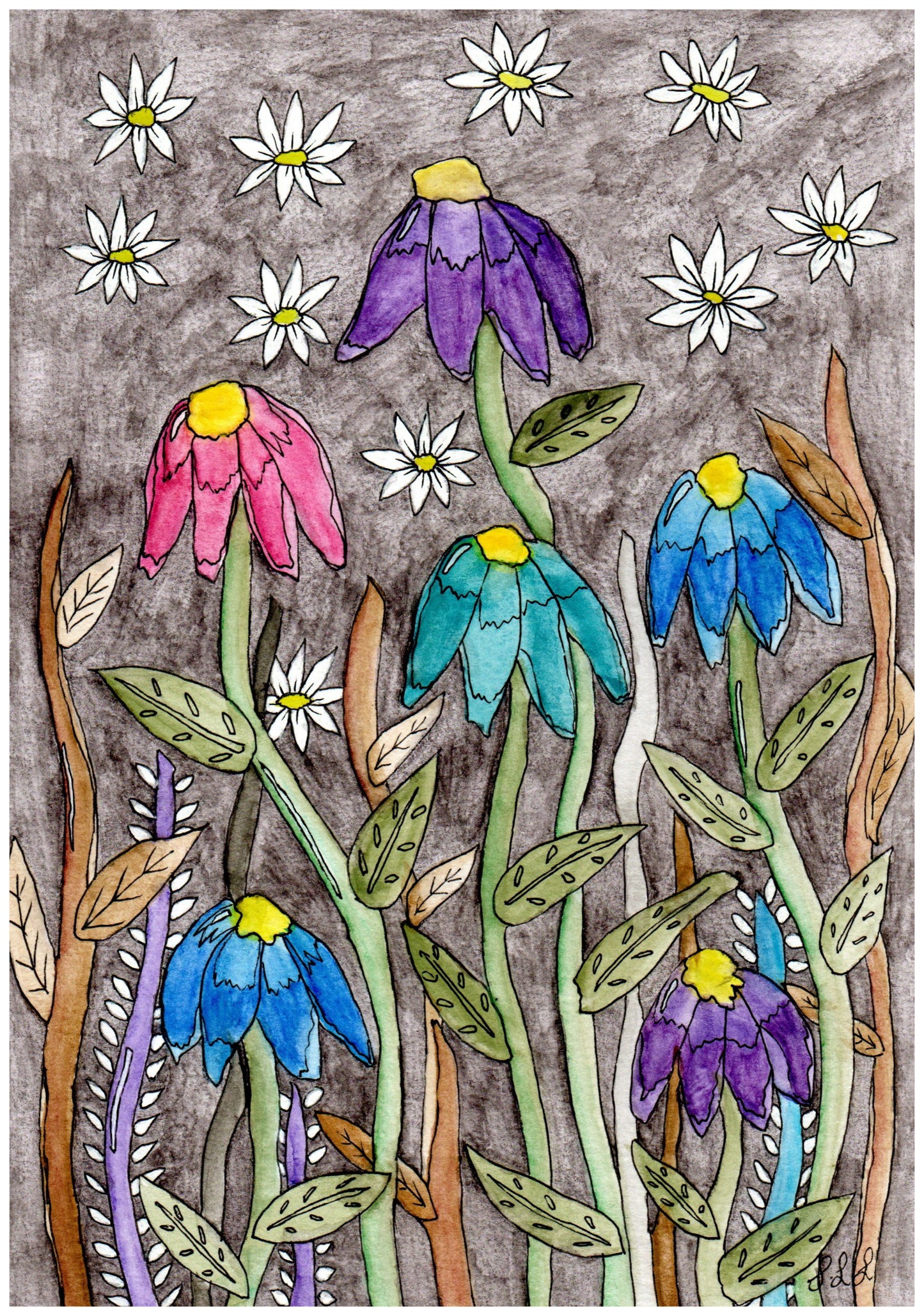 Greeting Card - Echinacea and Daisy