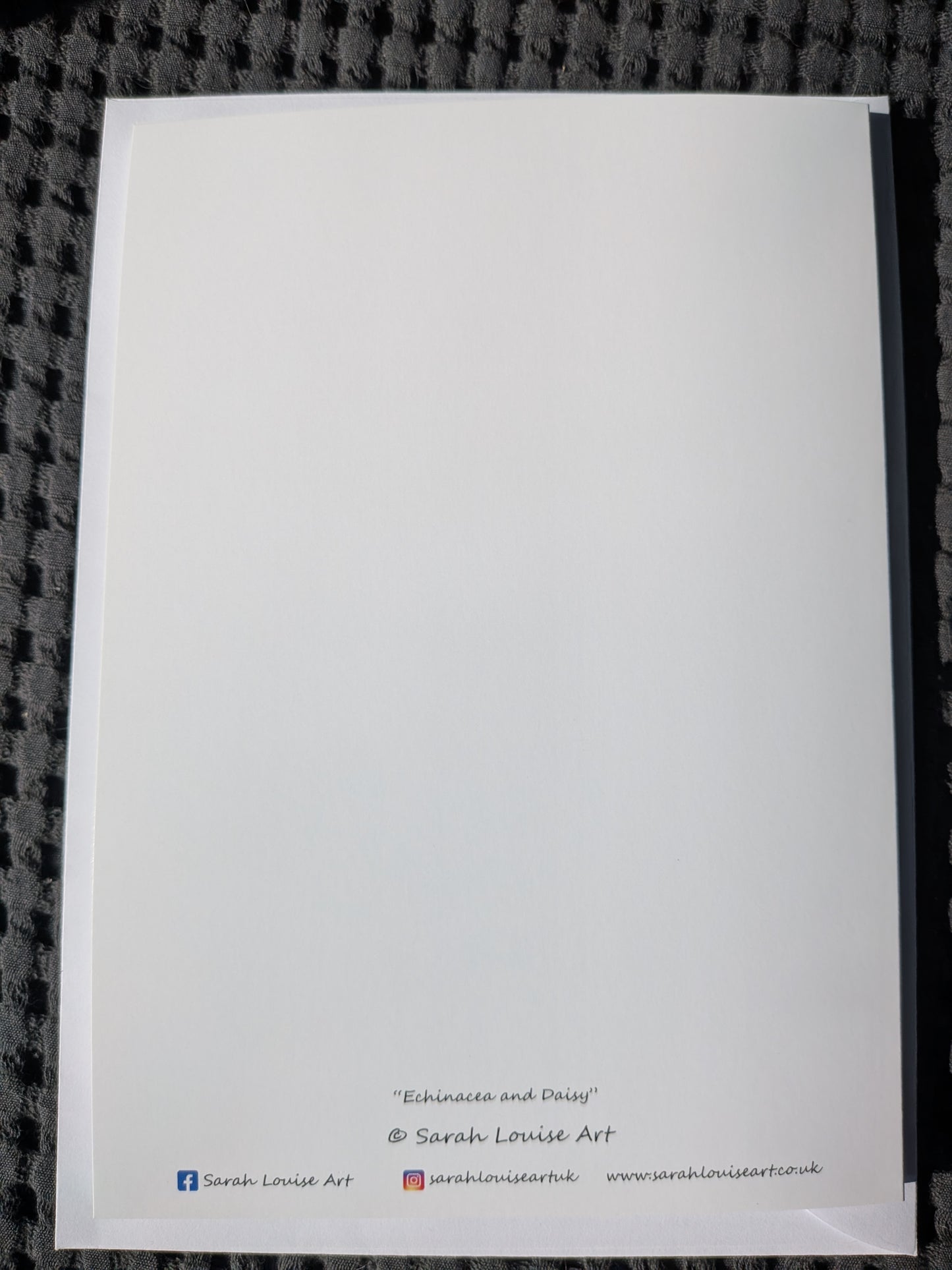 Greeting Card - Echinacea and Daisy