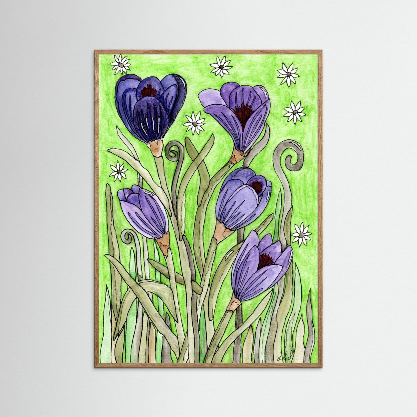 Crocus