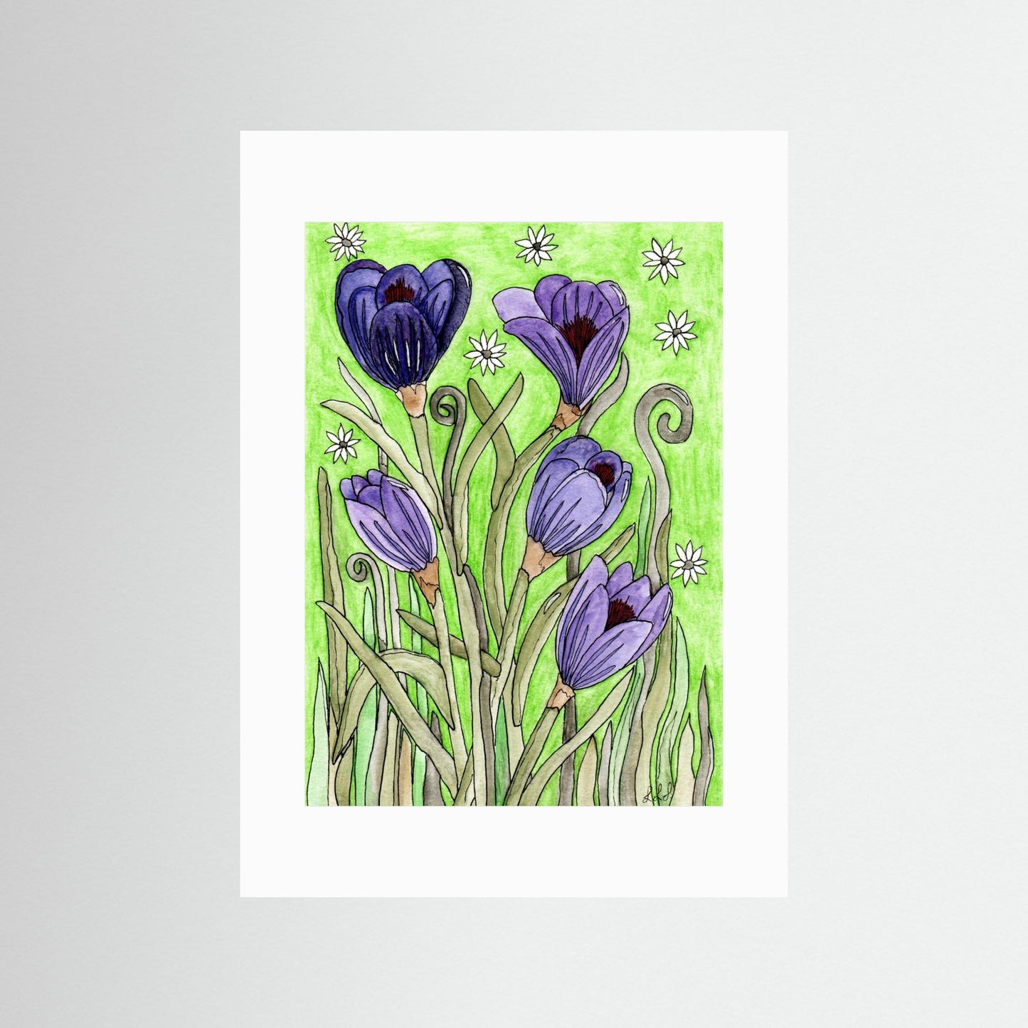 Crocus