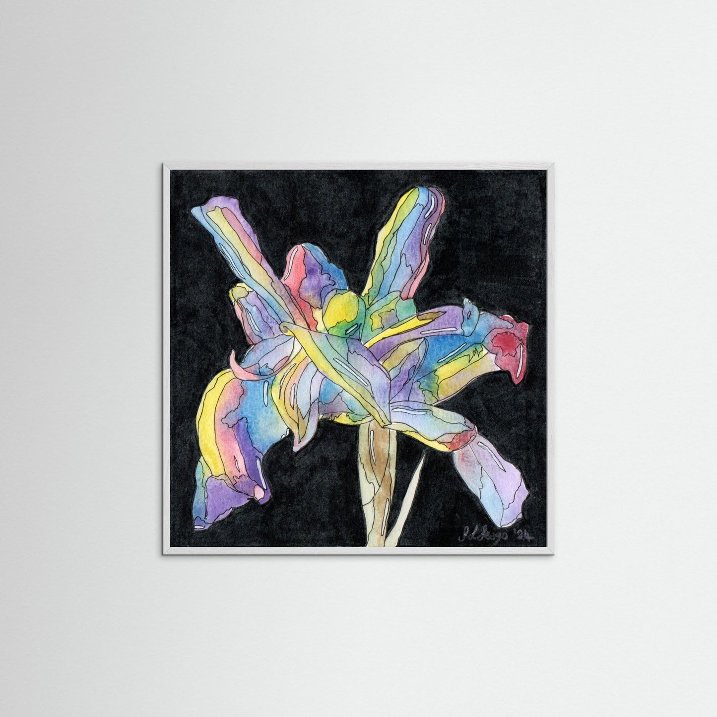 Iris