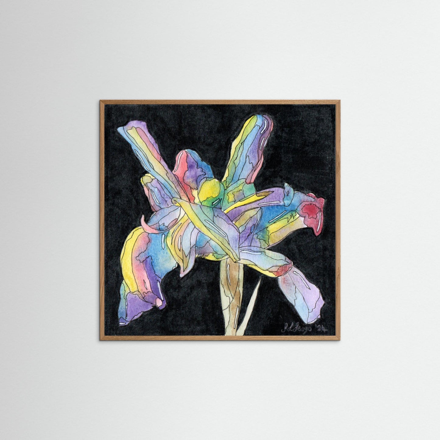 Iris