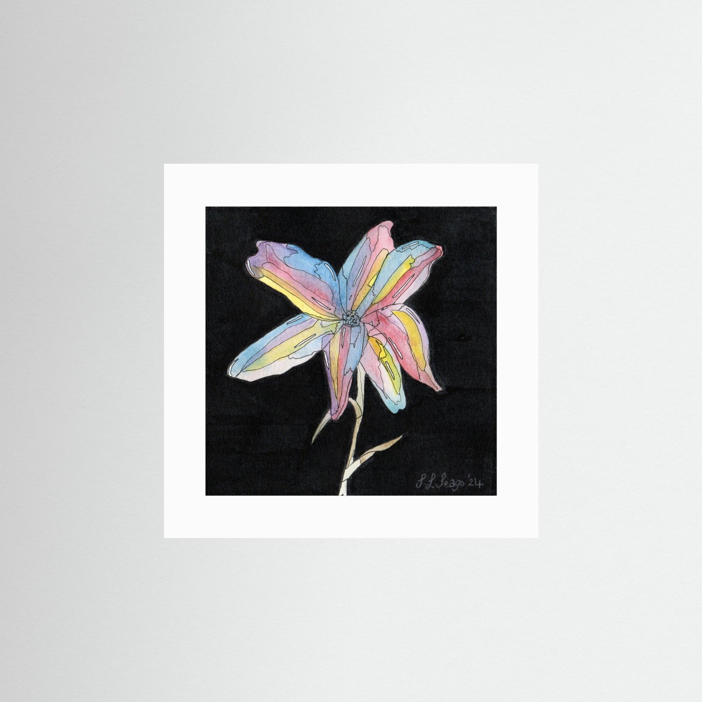 Lily