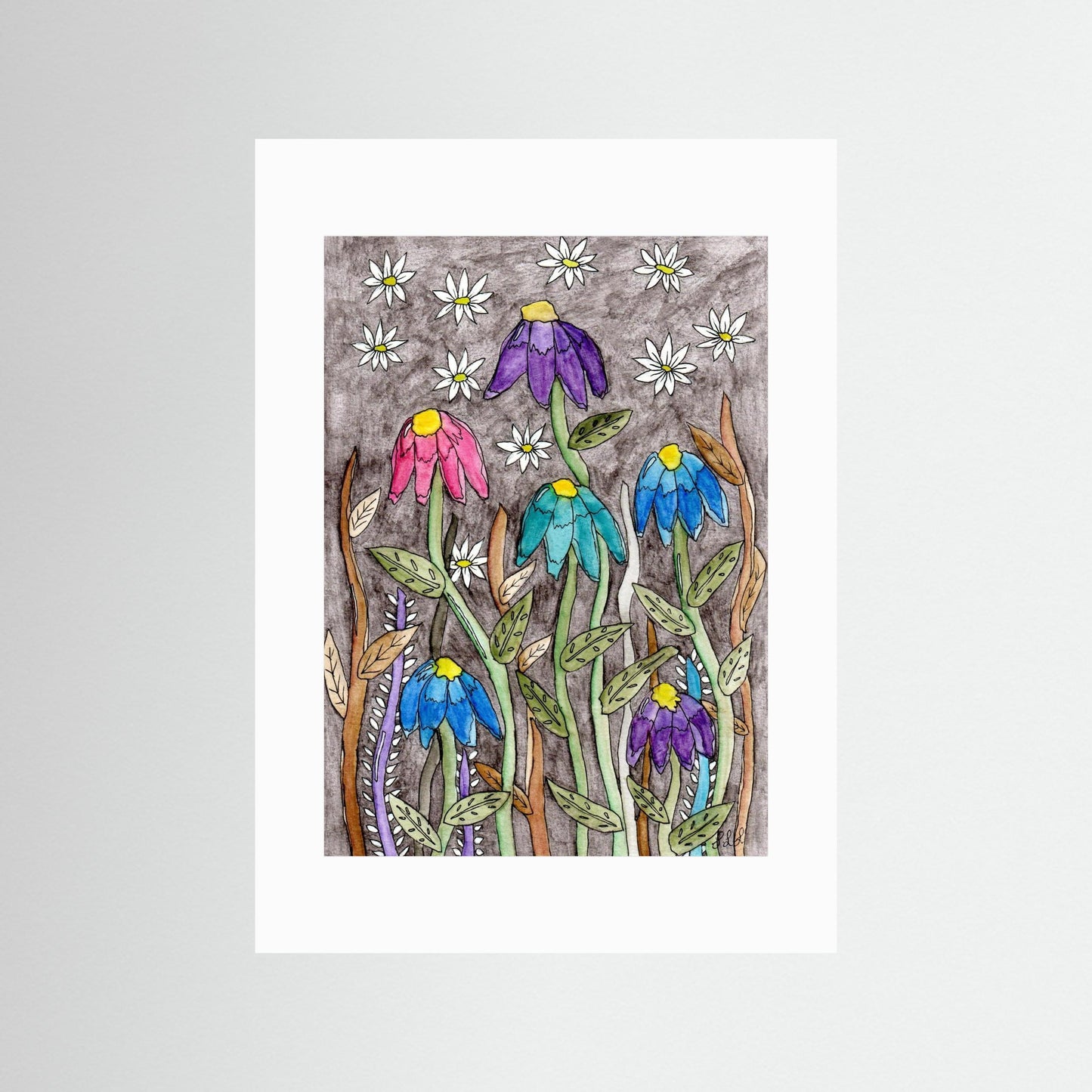 Echinacea and Daisy