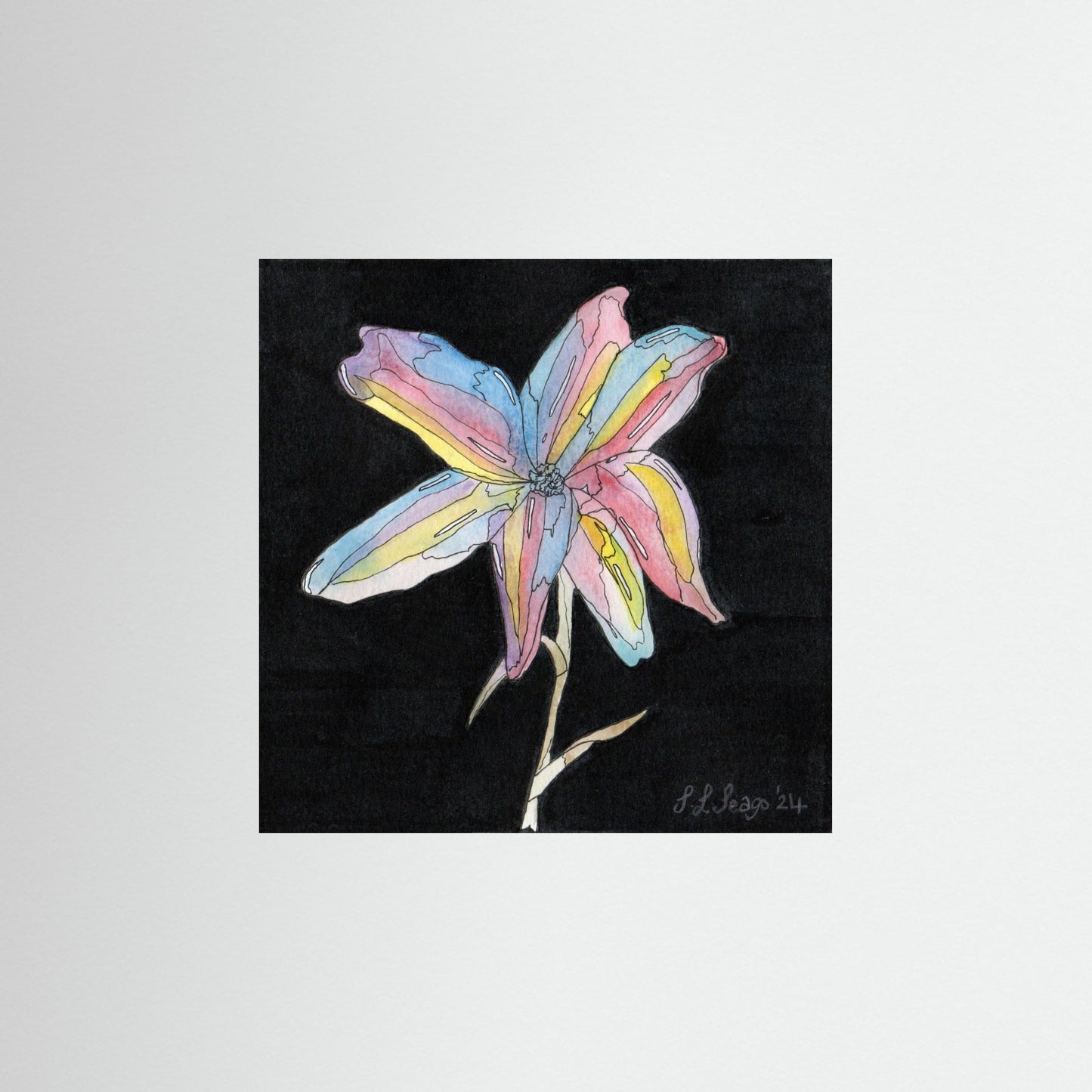Lily