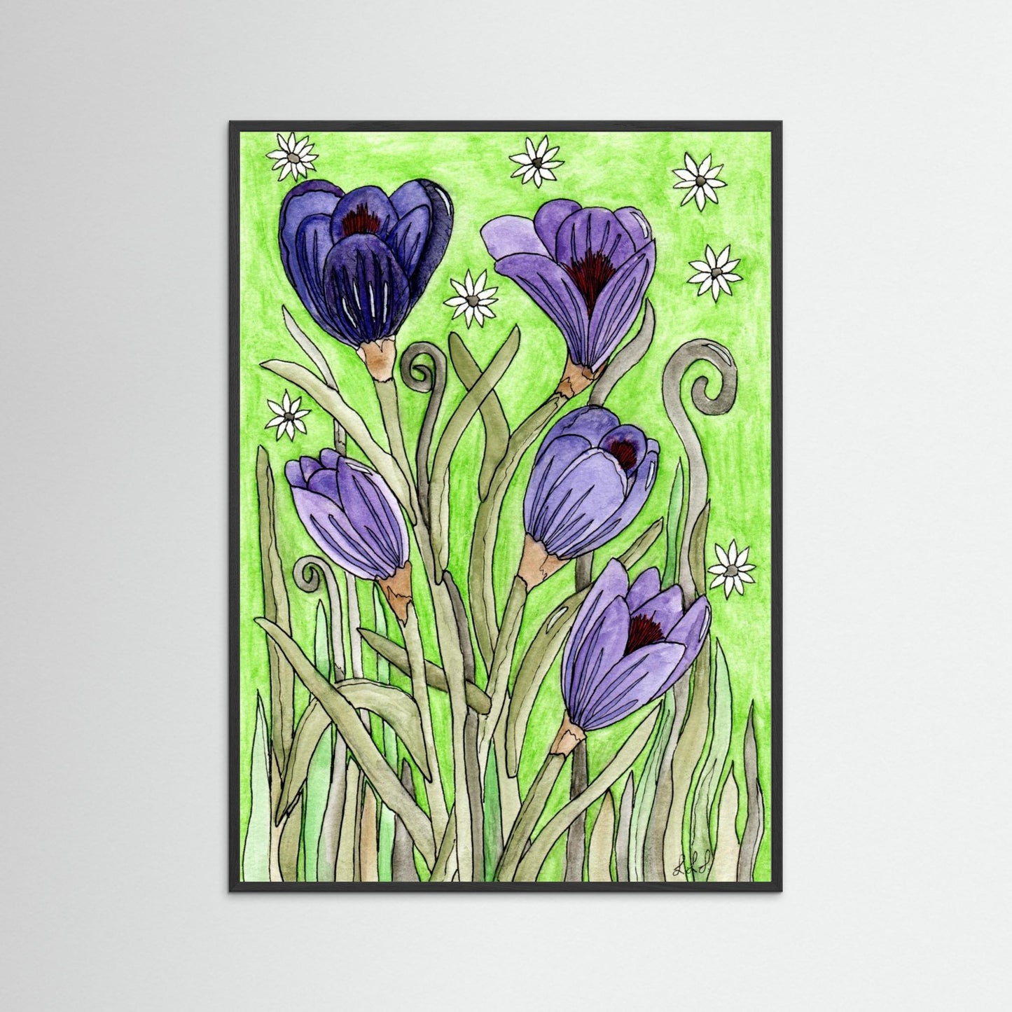 Crocus