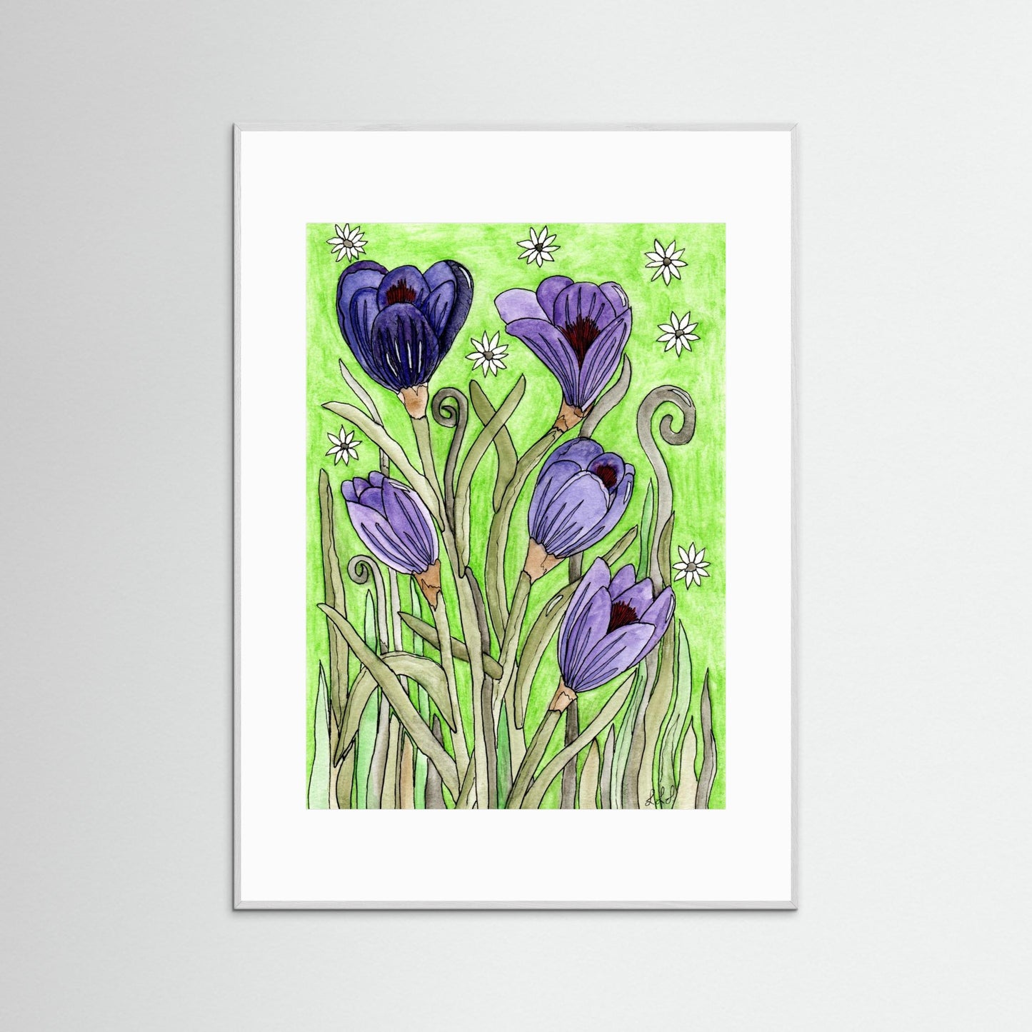 Crocus